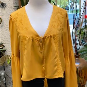 💛LONG SLEEVES V-NECK CROP TOP💛